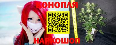 прущие крисы Моздок