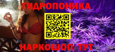 прущие крисы Моздок