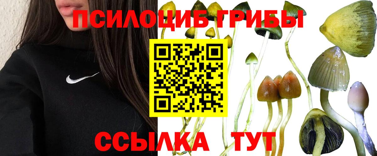 Псилоцибиновые грибы мицелий Аксай